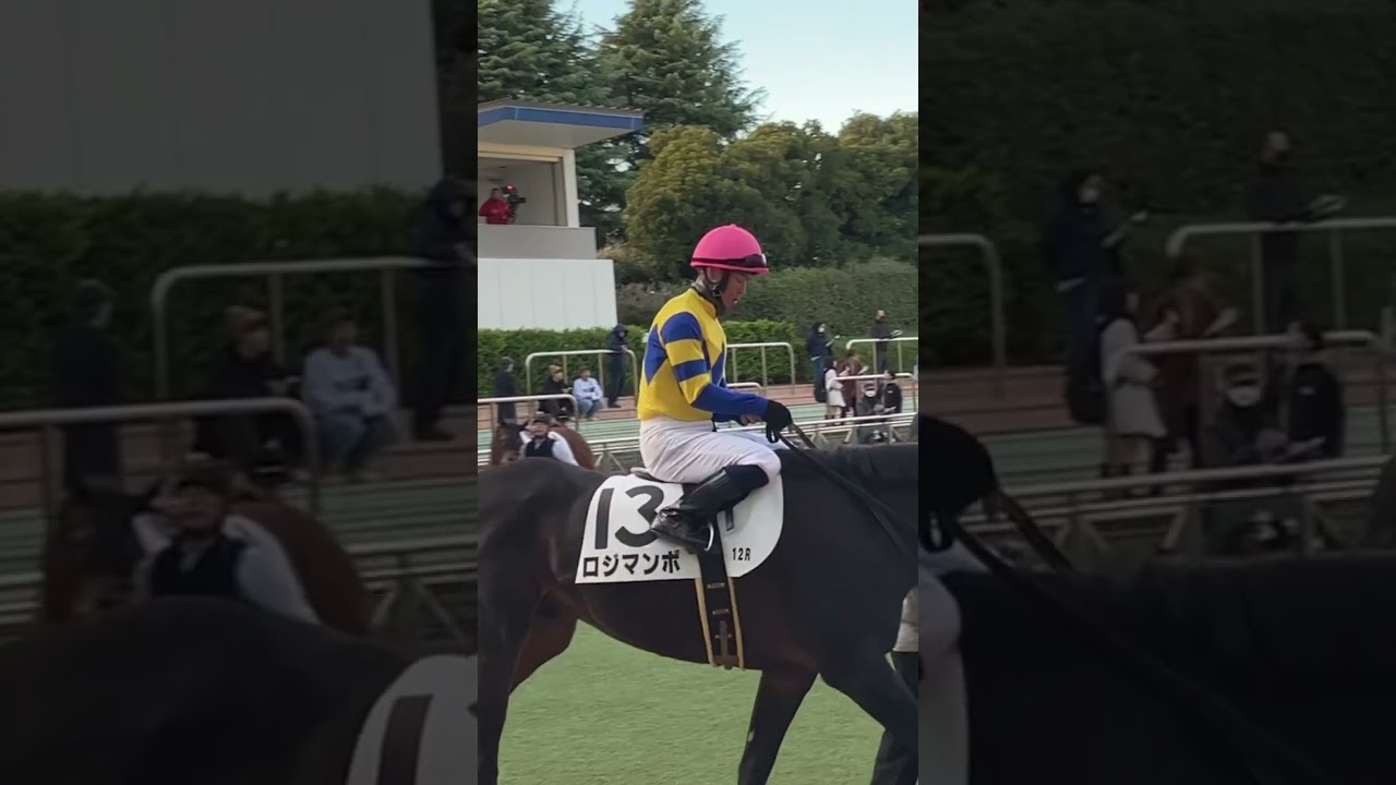ロジマンボと北村宏司騎手 #こしゃまる #競馬 #競馬予想