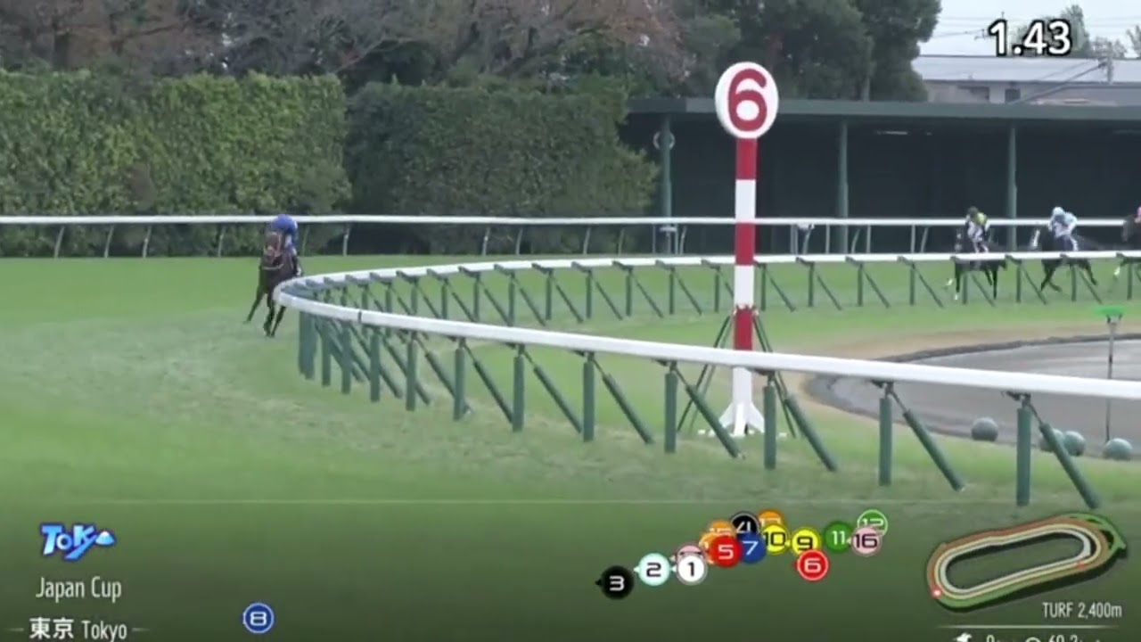 EQUINOX (春秋分) Overwhelms his last race in Japan Cup - Japan Cup 日本盃 ジャパンカップ G1- 2023
