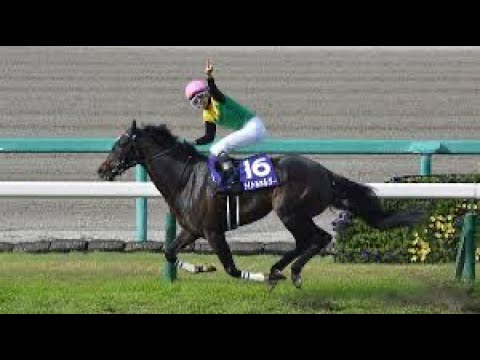 タイトルホルダーが来る理由3つ#有馬記念