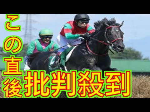 【中山大障害】マイネルグロンV4でジャンプG1制覇だ　青木師「気持ちと体が絶妙なバランス」