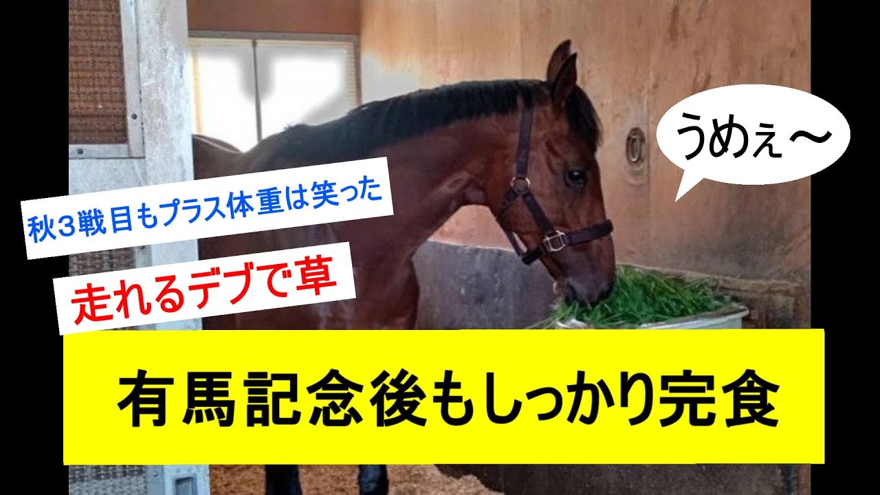 ドウデュース、レース後もしっかり完食wwwwwに対するみんなの反応【有馬記念】