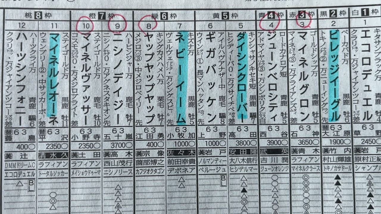 【競馬予想】　中山大障害