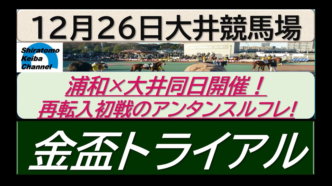 【競馬予想】金盃トライアル～２０２３年１２月２６日 大井競馬場 ：１２－２９