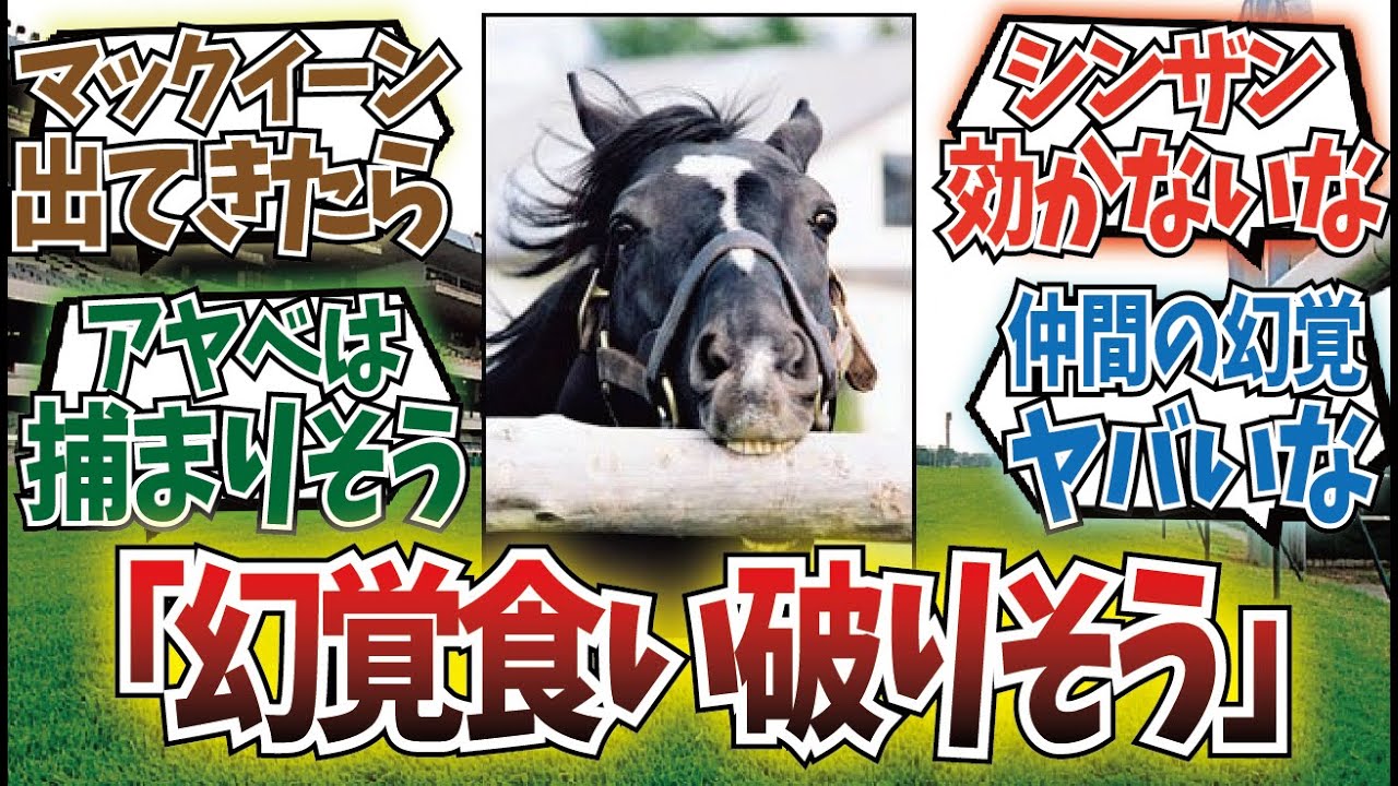 「幸せな幻覚系の技に捕まりそう捕まらなさそうなウマ娘&競走馬」に対するみんなの反応集