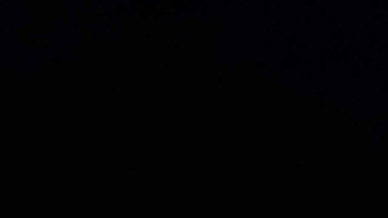 競馬論 #17「阪神カップ振り返り&ホープフルS予想」