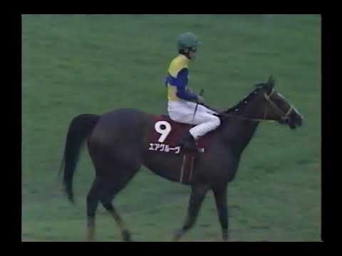 1998 鳴尾記念 サンライズフラッグ