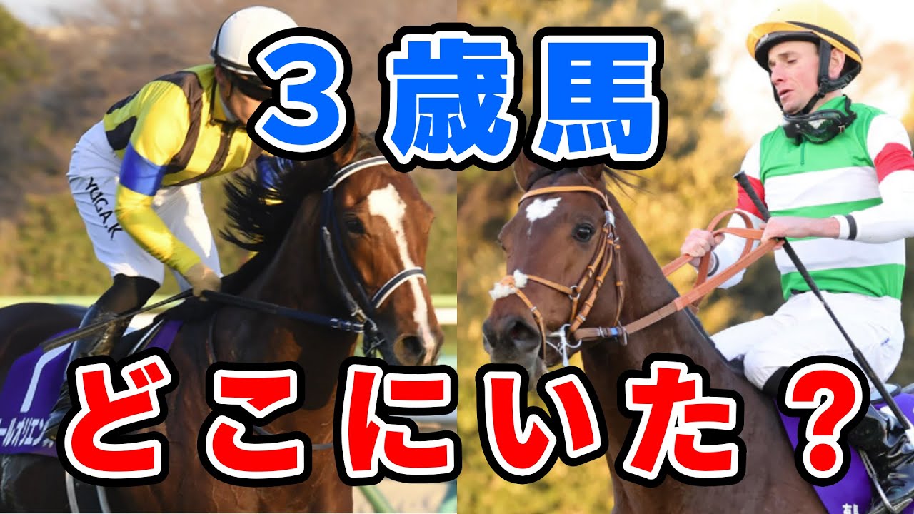 【有馬記念】ソールオリエンスとタスティエーラが完全に空気だった件　3歳馬どうした？