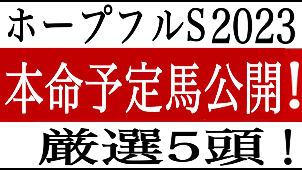 【ホープフルステークス2023】厳選5頭！データ完璧の本命予定馬公開！朝日杯＆阪神JF的中！軸馬配信85戦79勝 的中率９３％！ホープフルS 競馬予想 競馬ソフト  競馬過去データ分析予想