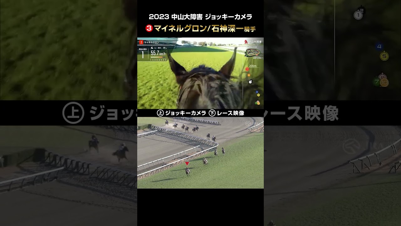 【ジョッキーカメラ×レース映像】2023年中山大障害 マイネルグロン 石神深一騎手 #shorts ｜JRA公式