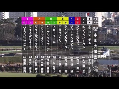 【第146回 農林水産省賞典 中山大障害】R5.12/23 （J・GⅠ／中山・芝4100ｍ ﾗｼﾞｵ実況版）