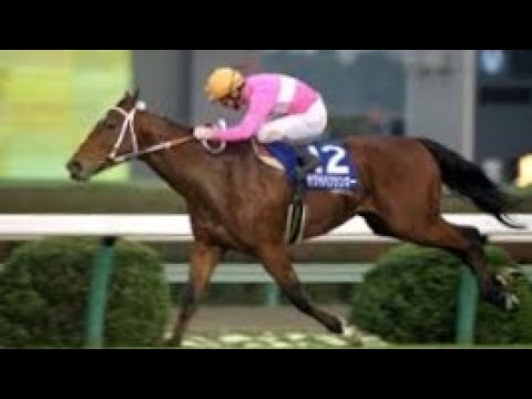 第27回　スプリンターズＳ （ＧⅠ）　サクラバクシンオー　牡４　57　小島太　1993.12.19　　出走馬：ヤマニンゼファー、ニシノフラワー、オースミシャイン、ユウキトップラン、ドージマムテキ他