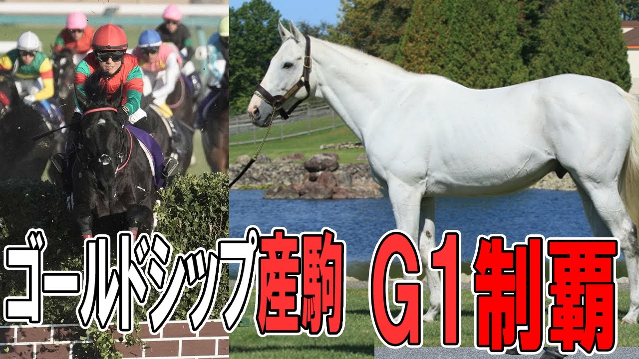 【10馬身差で圧勝】ゴールドシップ産駒から怪物誕生。マイネルグロンを解説