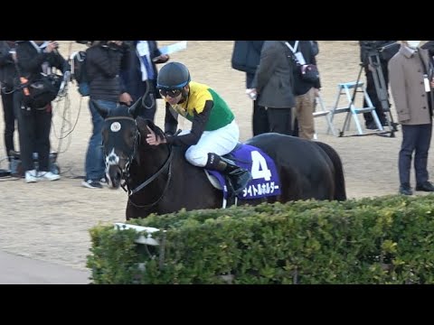 【有馬記念2023】ラストランを終えたタイトルホルダーを労う横山和生騎手【レース後の様子 現地】