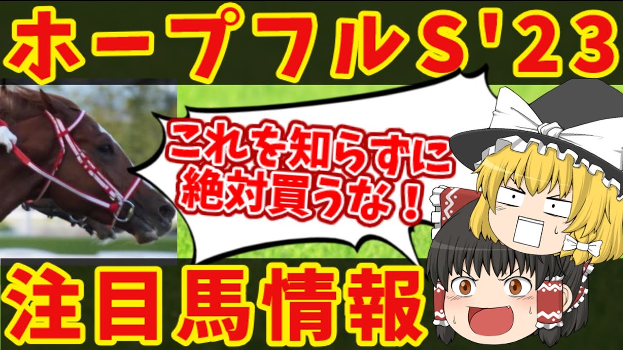 【ホープフルステークス】これが最後のチャンス！！知らないと損をする注目馬の情報！