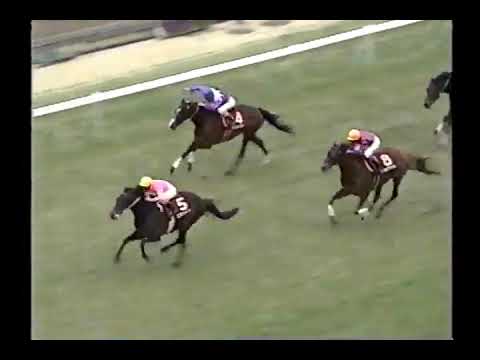 1999 京都記念 エモシオン