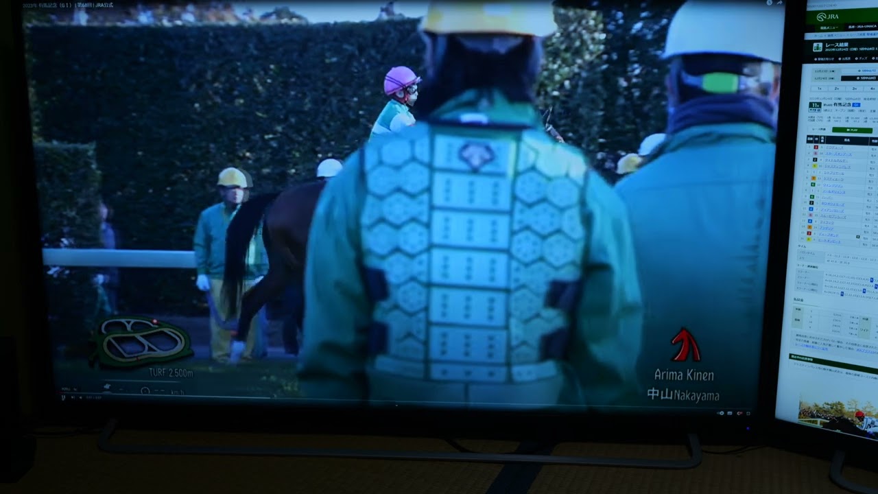 競馬はやらない方がいいよ。Part7　有馬記念　最終回