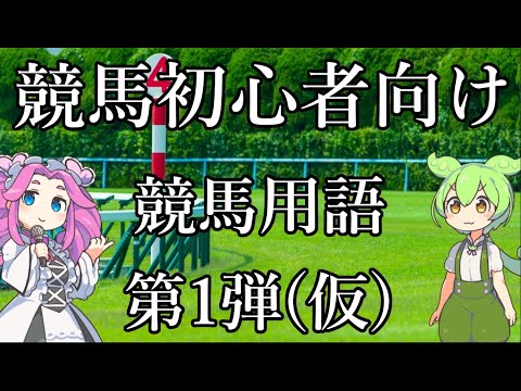 【競馬初心者向け】競馬用語について①【VOICEVOX】
