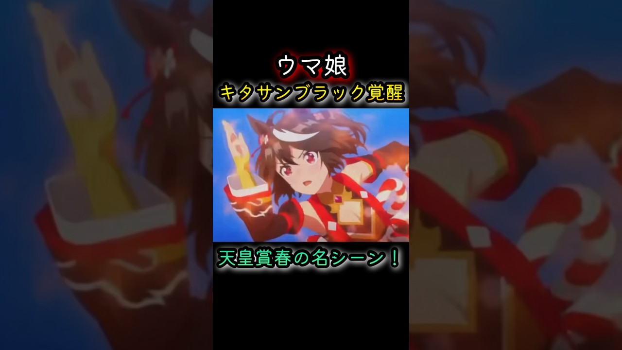 キタサンブラック覚醒【ウマ娘】