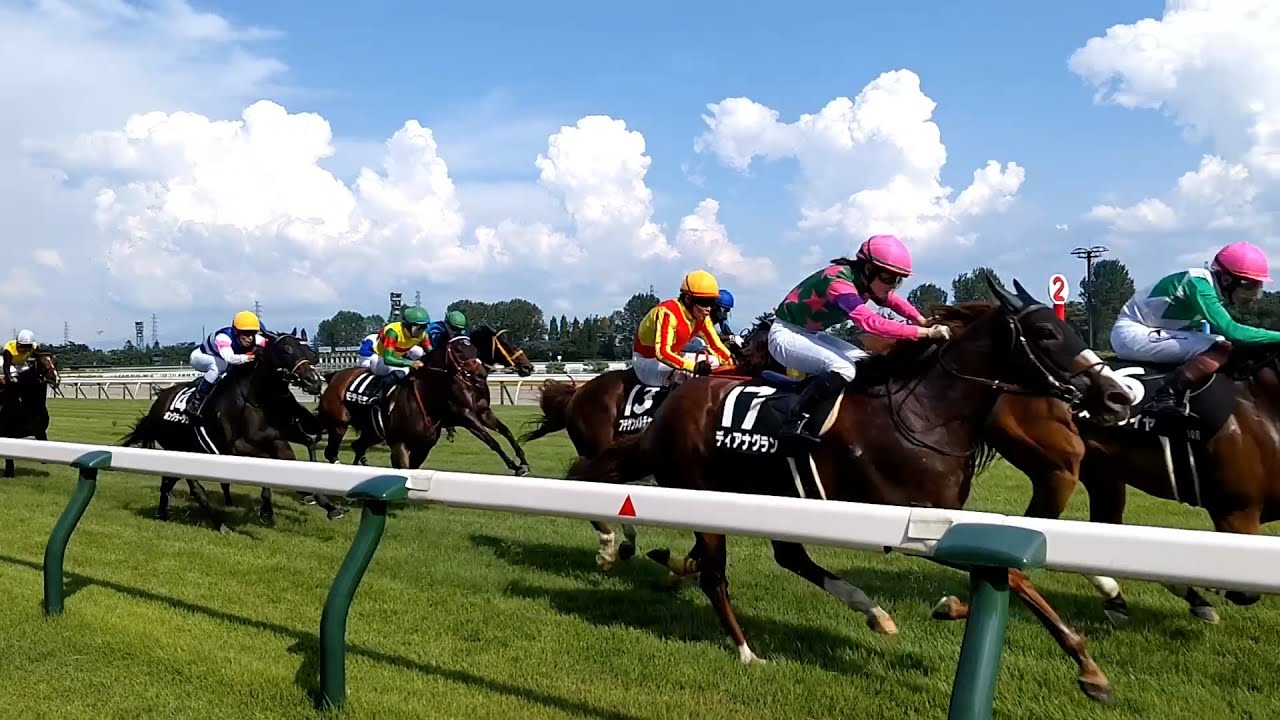 【ホープフルステークス2023】予想に自信のある人集まれー🏇2023年の競馬を振り返りたい人も集まれー🐴