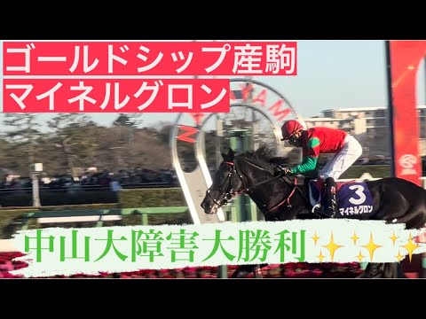 【マイネルグロン中山大障害2023 4連勝で圧勝‼️初JG1制覇✨✨👍】#マイネルグロン　#ゴールドシップ産駒 #中山大障害