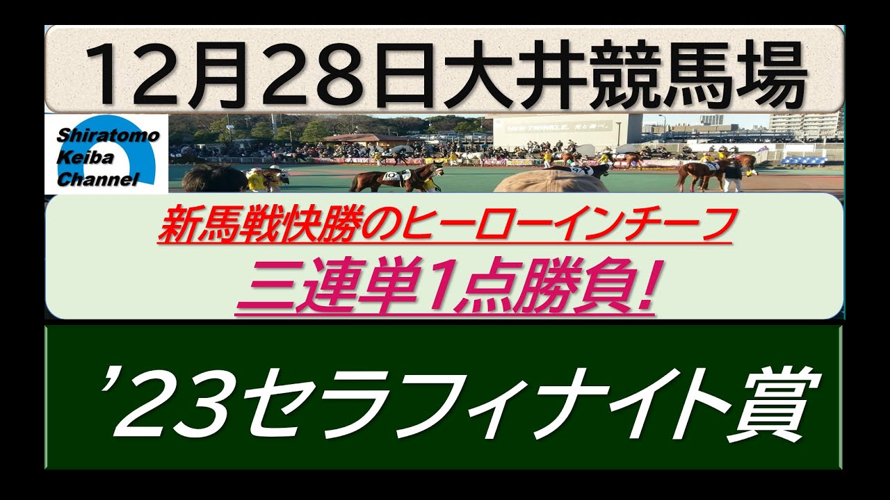 【競馬予想】'２３セラフィナイト賞～２０２３年１２月２８日 大井競馬場 ：１２－３３