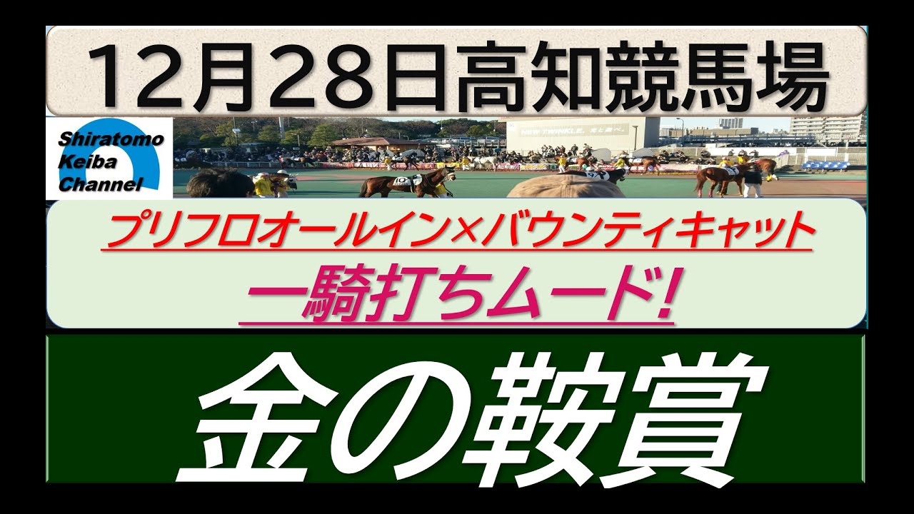 【競馬予想】重賞・金の鞍賞～２０２３年１２月２８日 高知競馬場 ：１２－３２