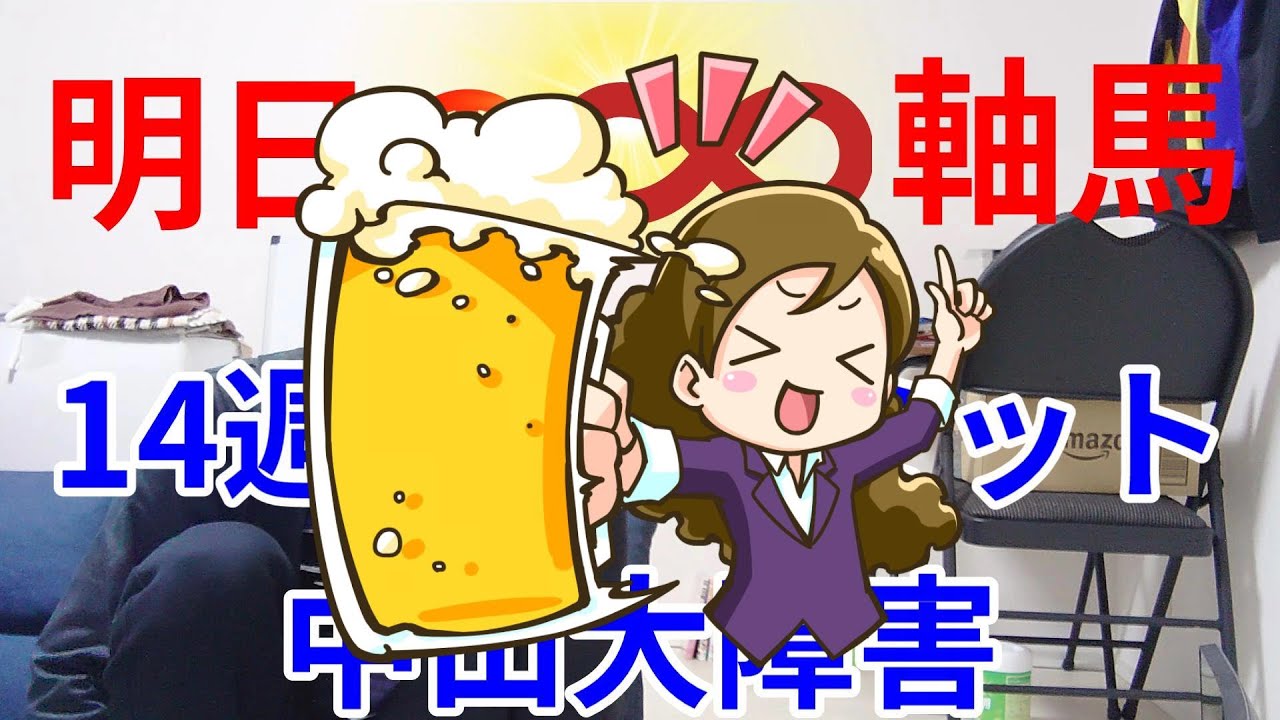 平場予想 全レース予想 明日の∞軸馬  解説 結論 馬券術 買うべき馬 14週連続コミット達成 障害者馬主 ほすまに 阪神カップ 中山大障害 有馬記念 ジャスティンパレス スターズオンアース