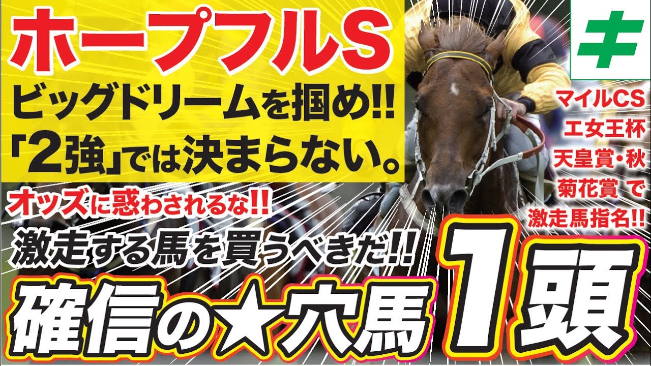 ホープフルＳ 2023【穴馬/予想】２強では決まらない「最もホープフルな人馬」と共にビッグドリームを掴む！