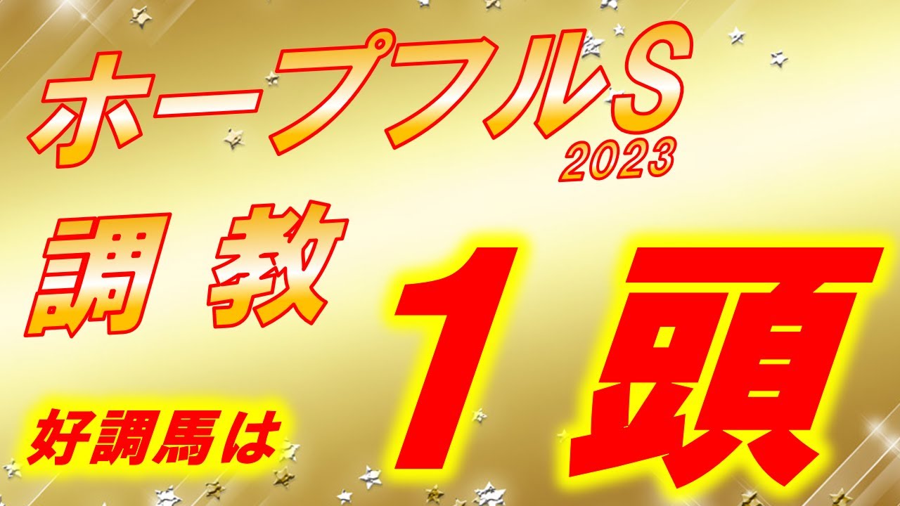 ホープフルS2023　追い切り診断‼　100点馬が出現‼　来年の主役を担う馬が潜んでいる！？　元馬術選手のコラム by アラシ