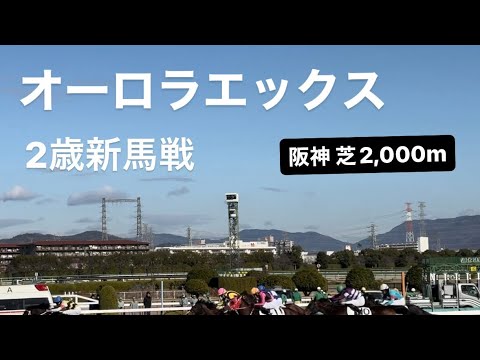 【現地映像】阪神 5R 2歳新馬 芝2,000メートル【オーロラエックス】