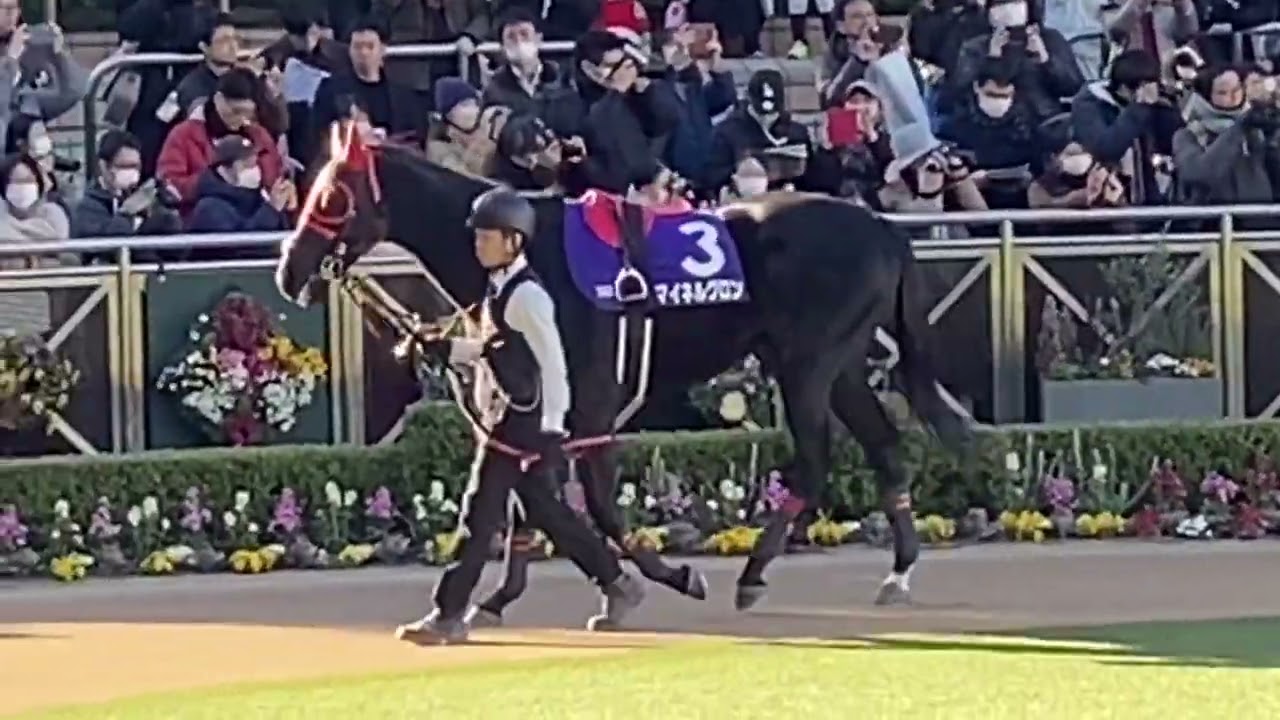 中山10レース 第146回中山大障害(J GI) パドック