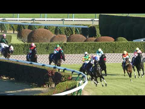 2023年中山大障害 (現地映像：屋内指定席編集入り）