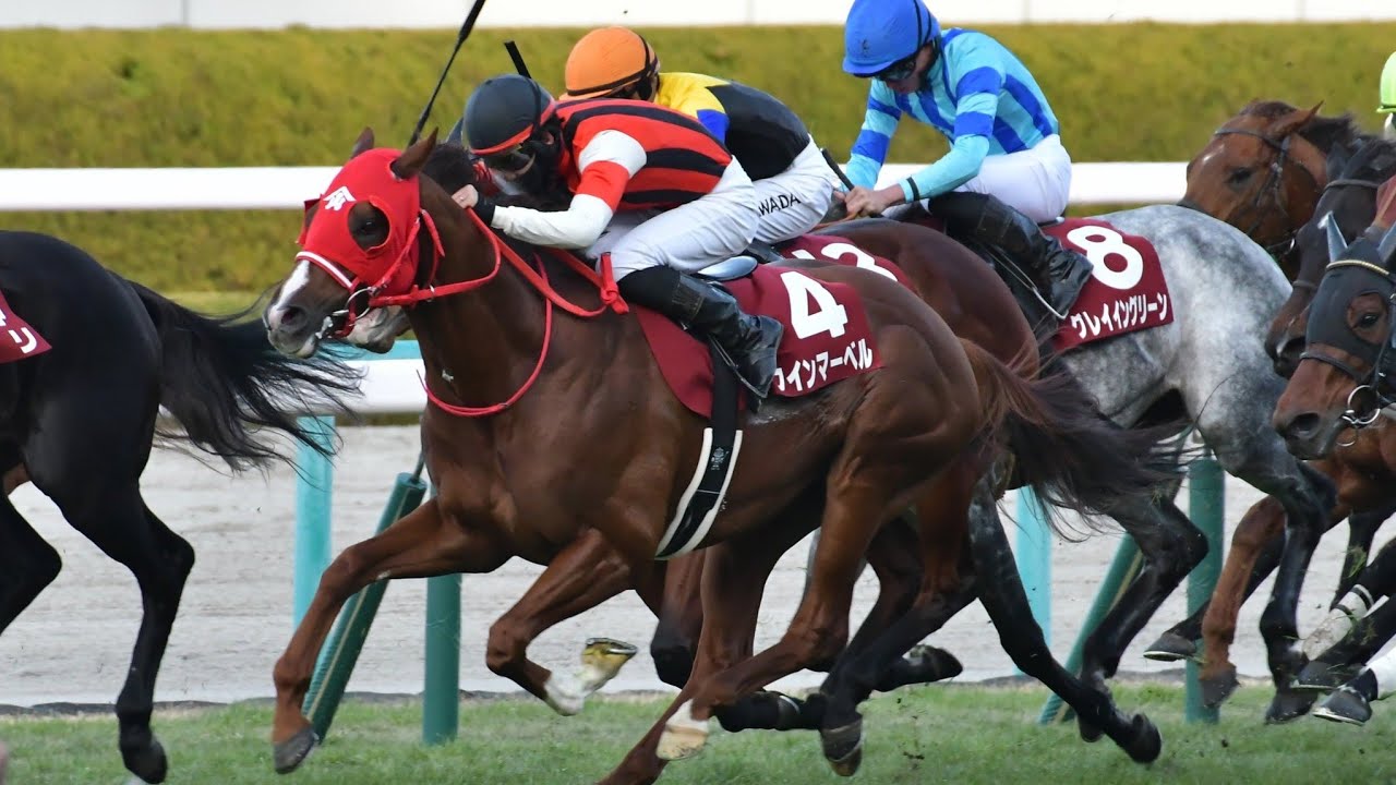 阪神11R阪神カップ2023ウインマーベル