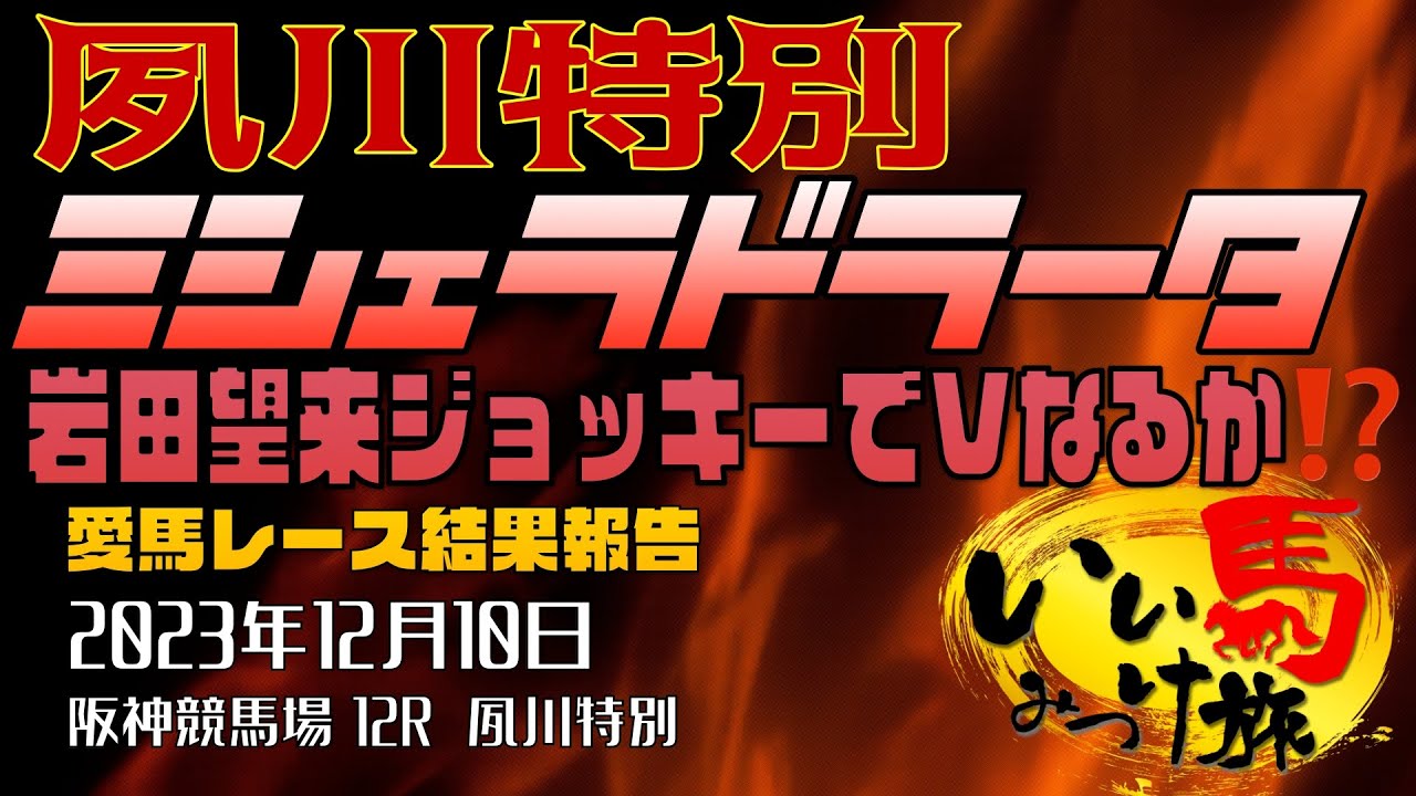 【競馬・馬主・レース結果】夙川特別❗️ミシェラドラータ岩田望来ジョッキーでVなるか⁉️（2023年12月10日 阪神競馬場 12R 夙川特別  ミシェラドラータ）