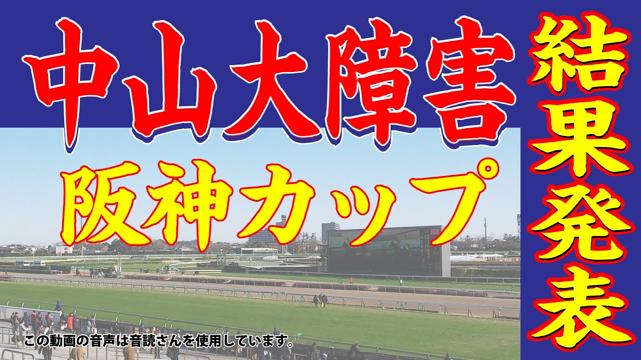 2023 中山大障害、阪神カップの結果。