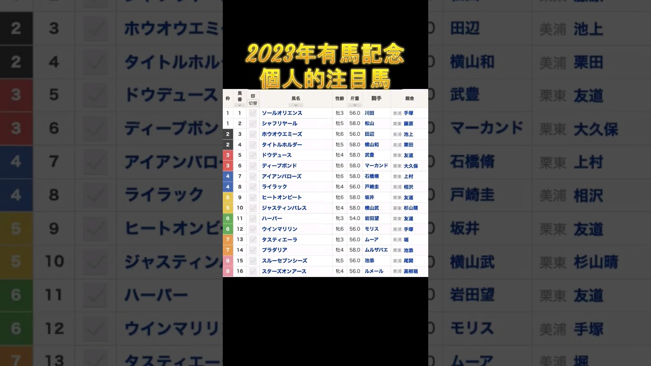 2023年有馬記念に出走する個人的に好きな馬 #有馬記念 #ライラック #ウインマリリン #ドウデュース #デアリングタクト #キタサンブラック #ウマ娘