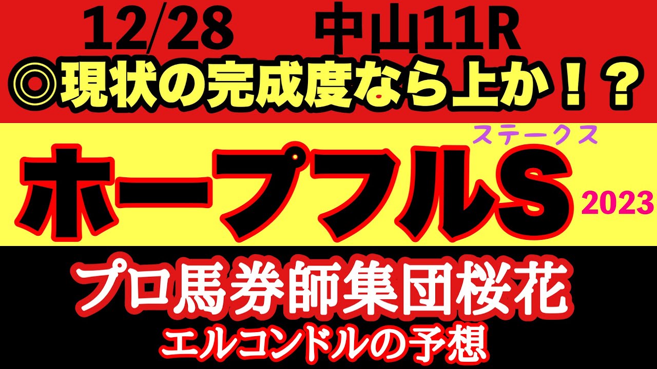 プロ馬券師集団桜花エルコンドル氏のホープフルステークス2023予想！！昨年以上に混戦模様で難解！どの馬にもチャンスがありそうで波乱含みか！？