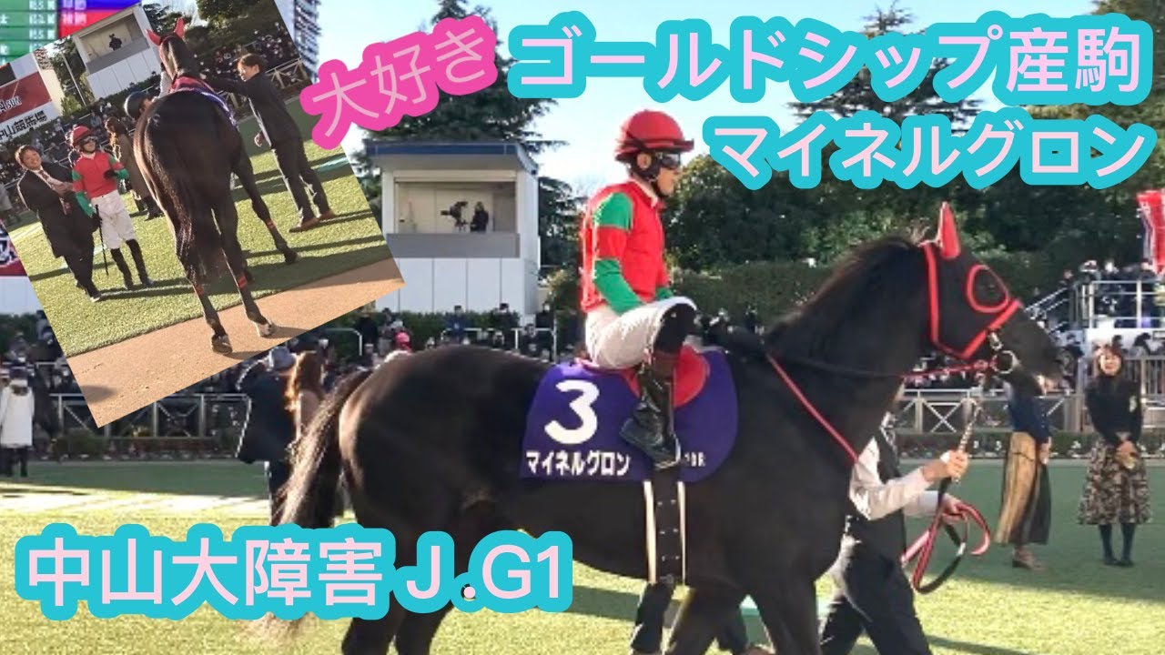 ゴールドシップ産駒　マイネルグロン　かっこよすぎてまぶしい　中山大障害