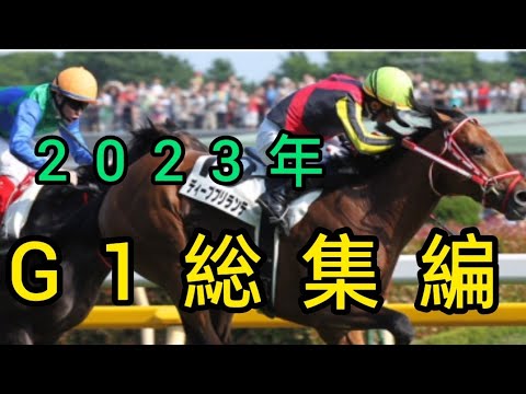 副業競馬　2023　G1　総集編1　負けられない戦い！