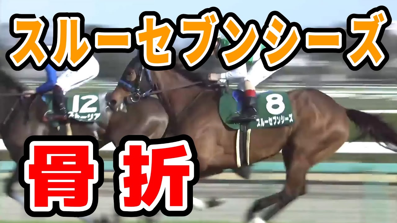 スルーセブンシーズ骨折、引退へ