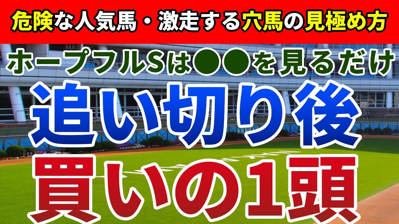 ホープフルステークス2023 追い切り後【買いの1頭】公開！フルゲート必至の今年は波乱濃厚！適性・展開、妙味も十分の１頭とは？