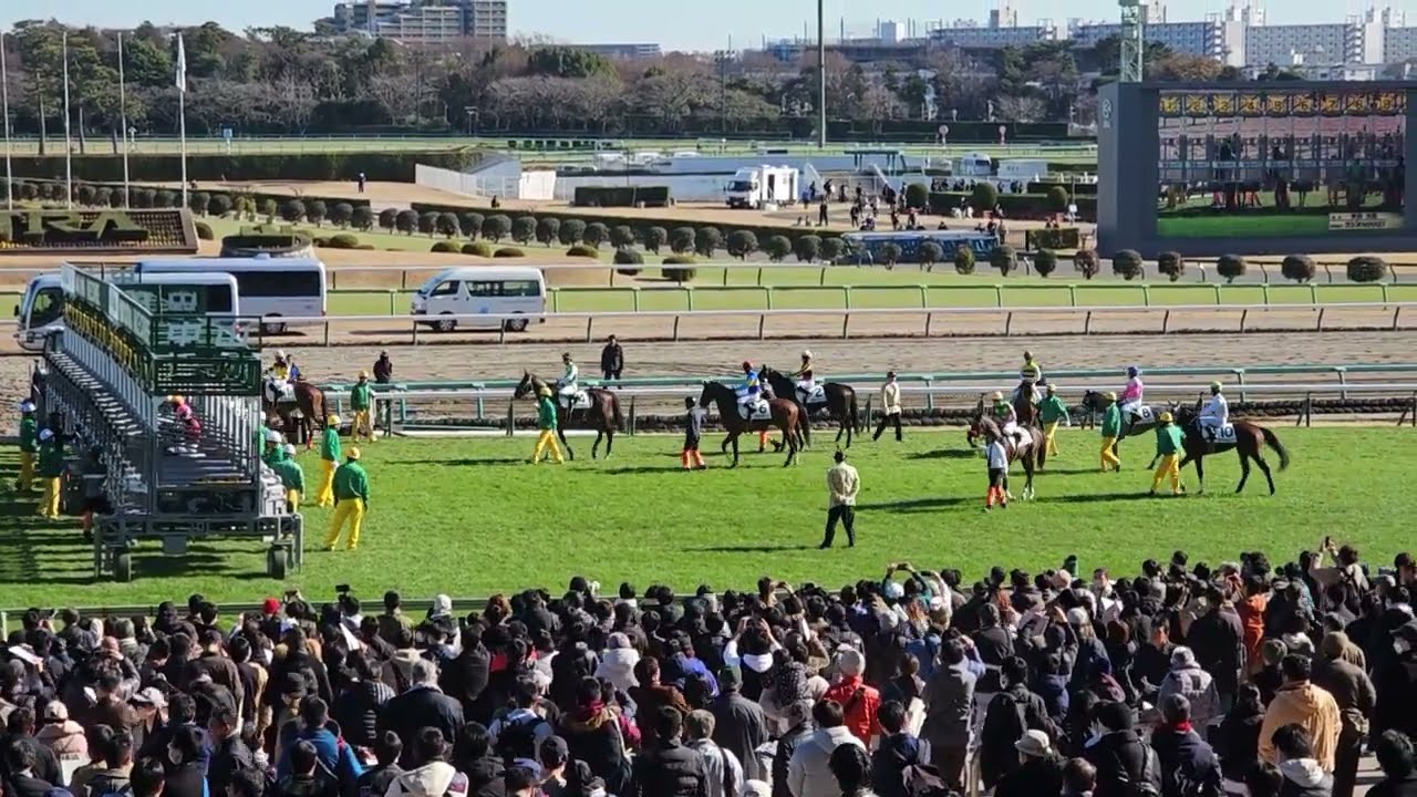 2023.12.23中山5Rメイクデビュー2歳新馬