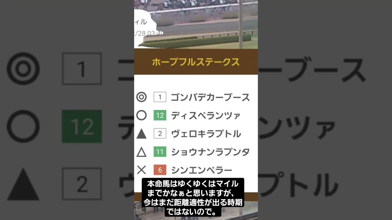 ホープフルステークス、2023年上位5頭予想！