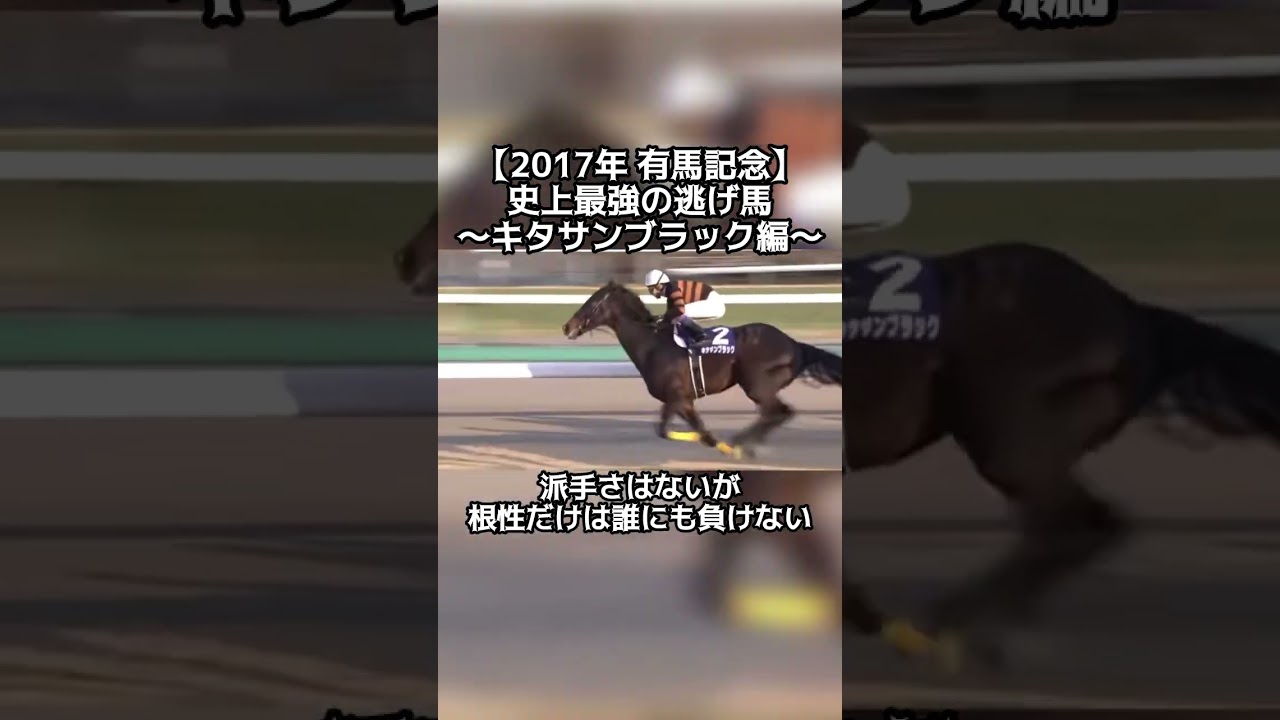 【競馬】有馬記念〜キタサンブラック編〜ど根性の史上最強逃げ馬。 #競馬 #有馬記念 #キタサンブラック