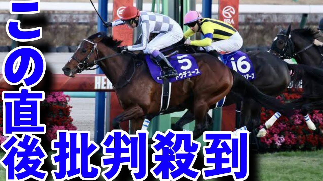 【有馬記念】豊マジック炸裂！ダービー馬・ドウデュースが復活white cat