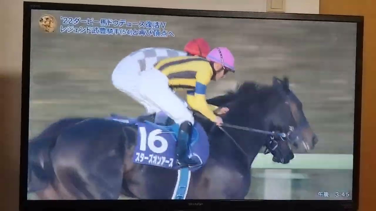 中山ばんざい❗有馬記念2023🏇