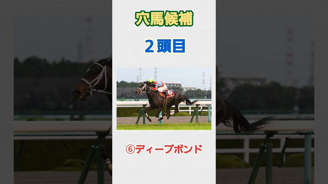 #競馬 #有馬記念2023 #穴馬