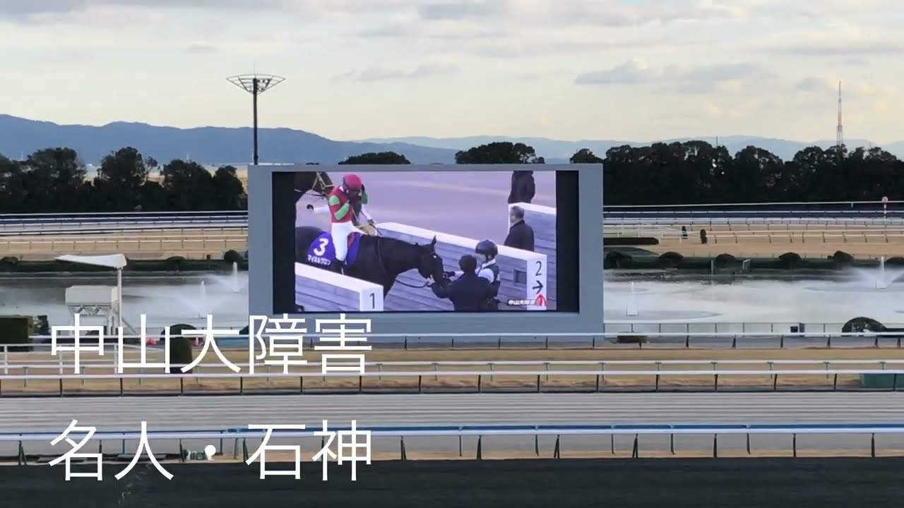 京都競馬場訪問〜オジュウだけでない石神Jマイネルグロン中山大障害V