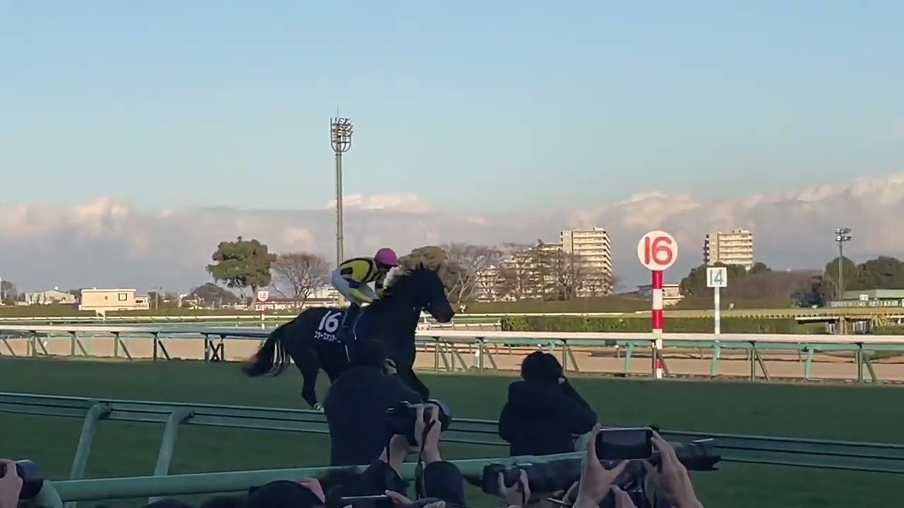 【有馬記念】本馬場入場(2023年)