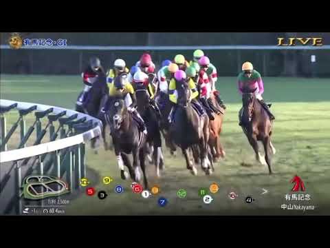有馬記念　2023 レース